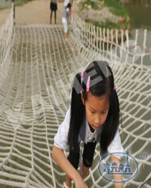 Children climbing the net